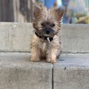 Meet your Posher, Luis